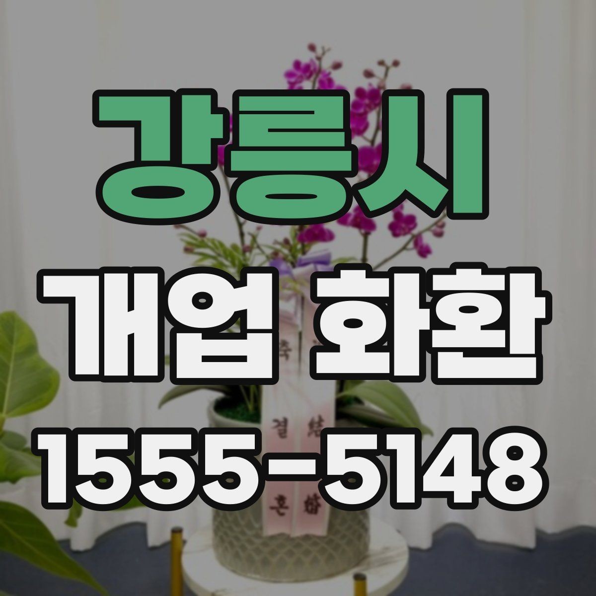 강릉시 개업 화환 가격 차이가 나는 이유