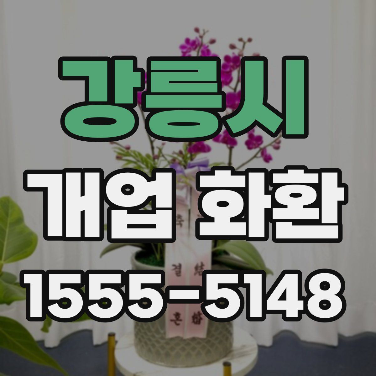 강릉시 개업 화환