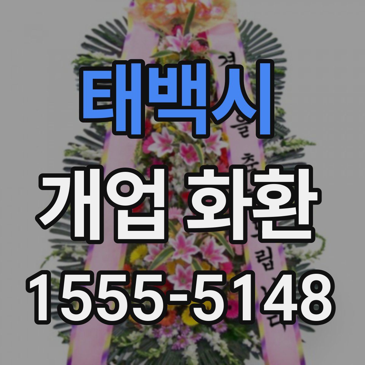 태백시 개업 화환
