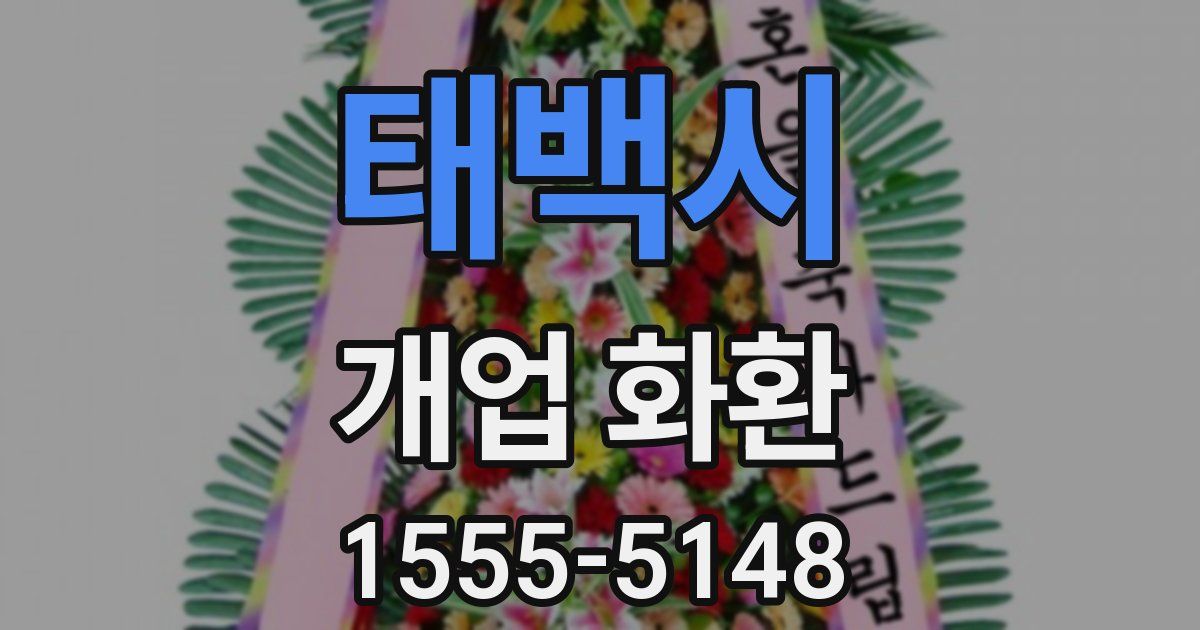 태백시 개업 화환