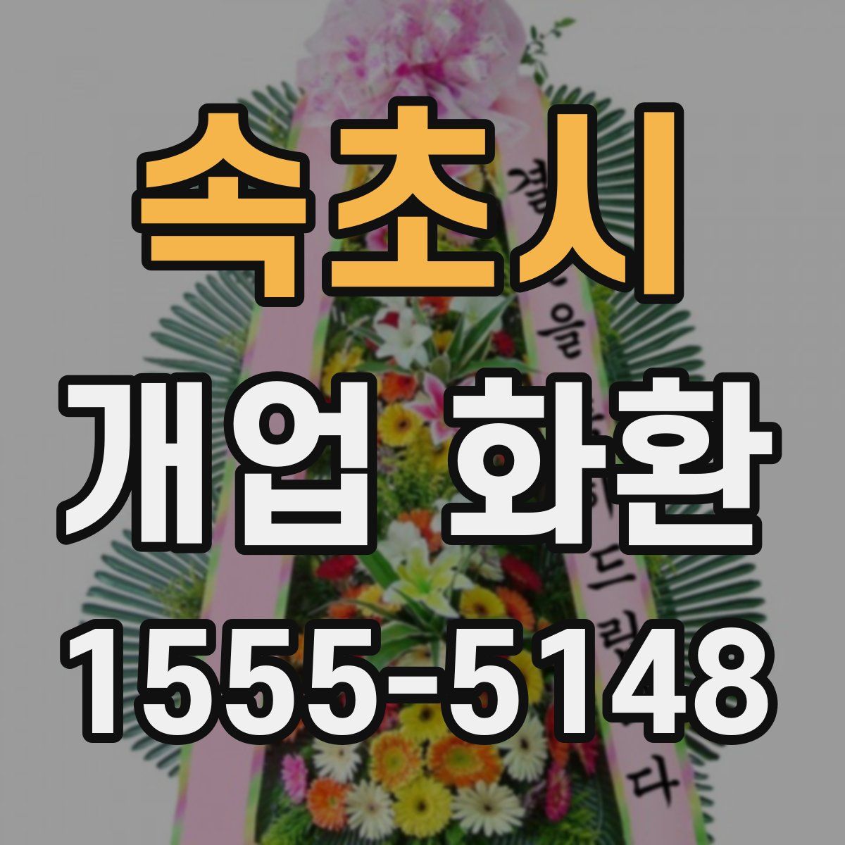 속초시 개업 화환