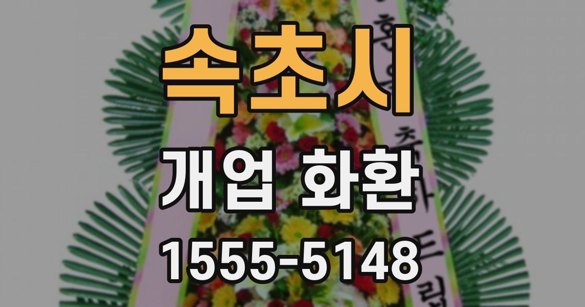 속초시 개업 화환