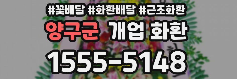 양구군 개업 화환