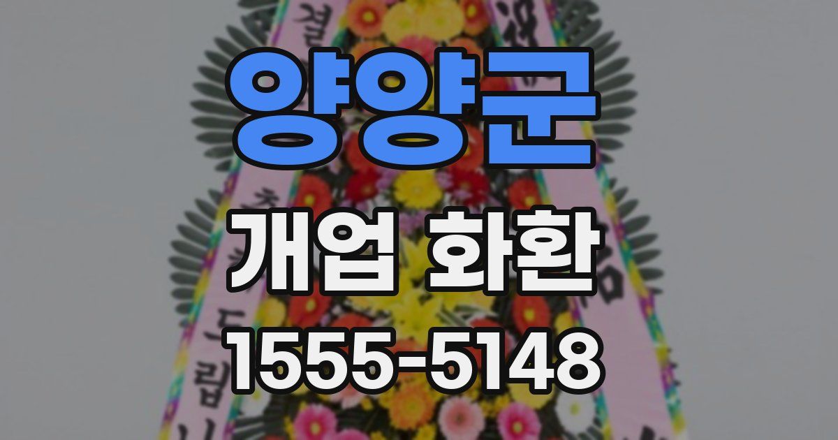 양양군 개업 화환