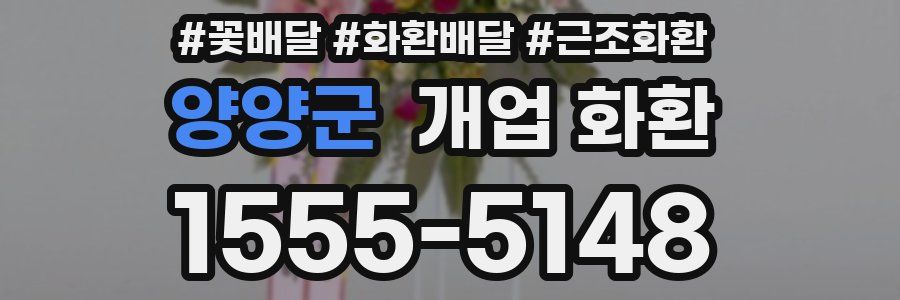 양양군 개업 화환