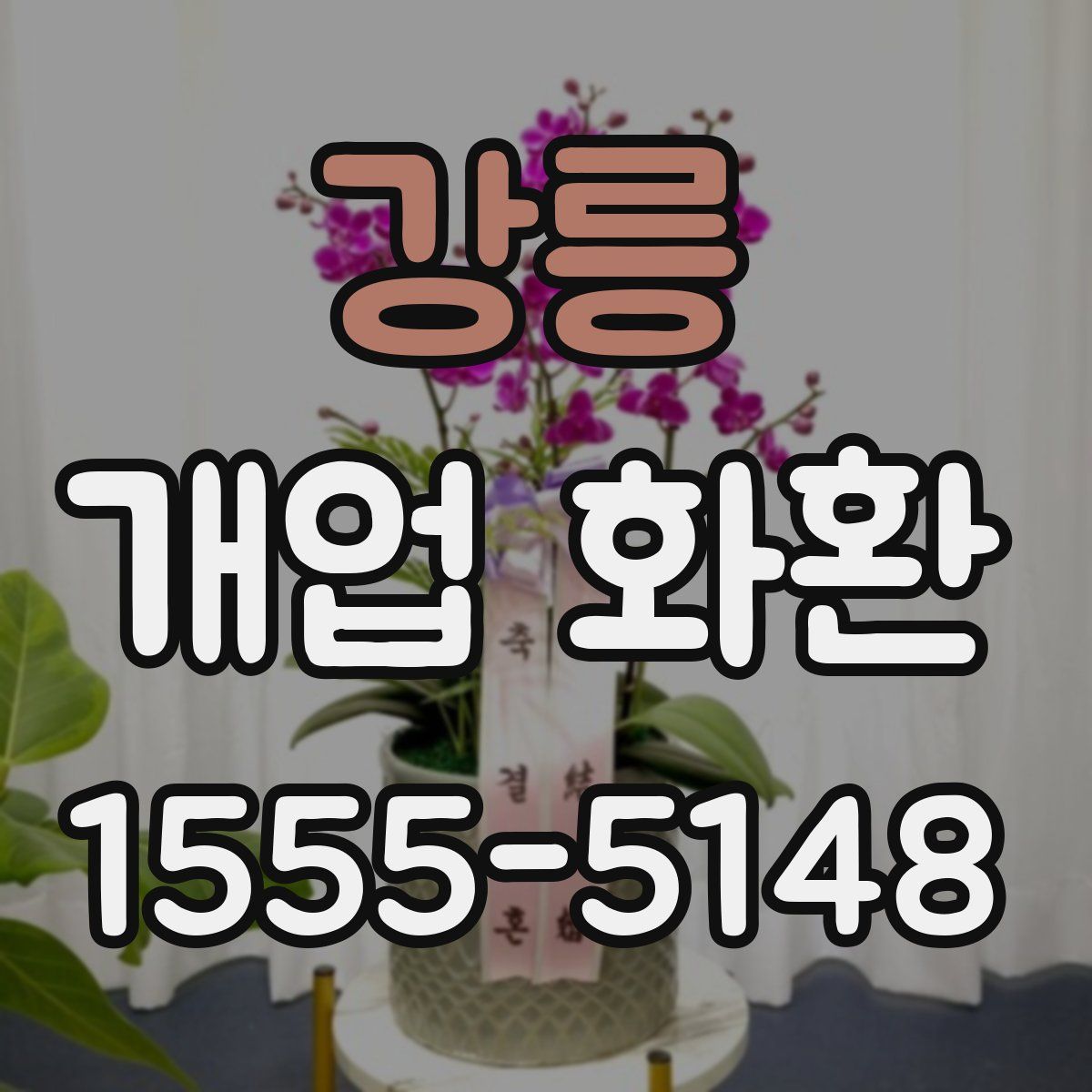 강릉 개업 화환