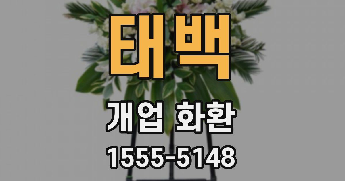 태백 개업 화환