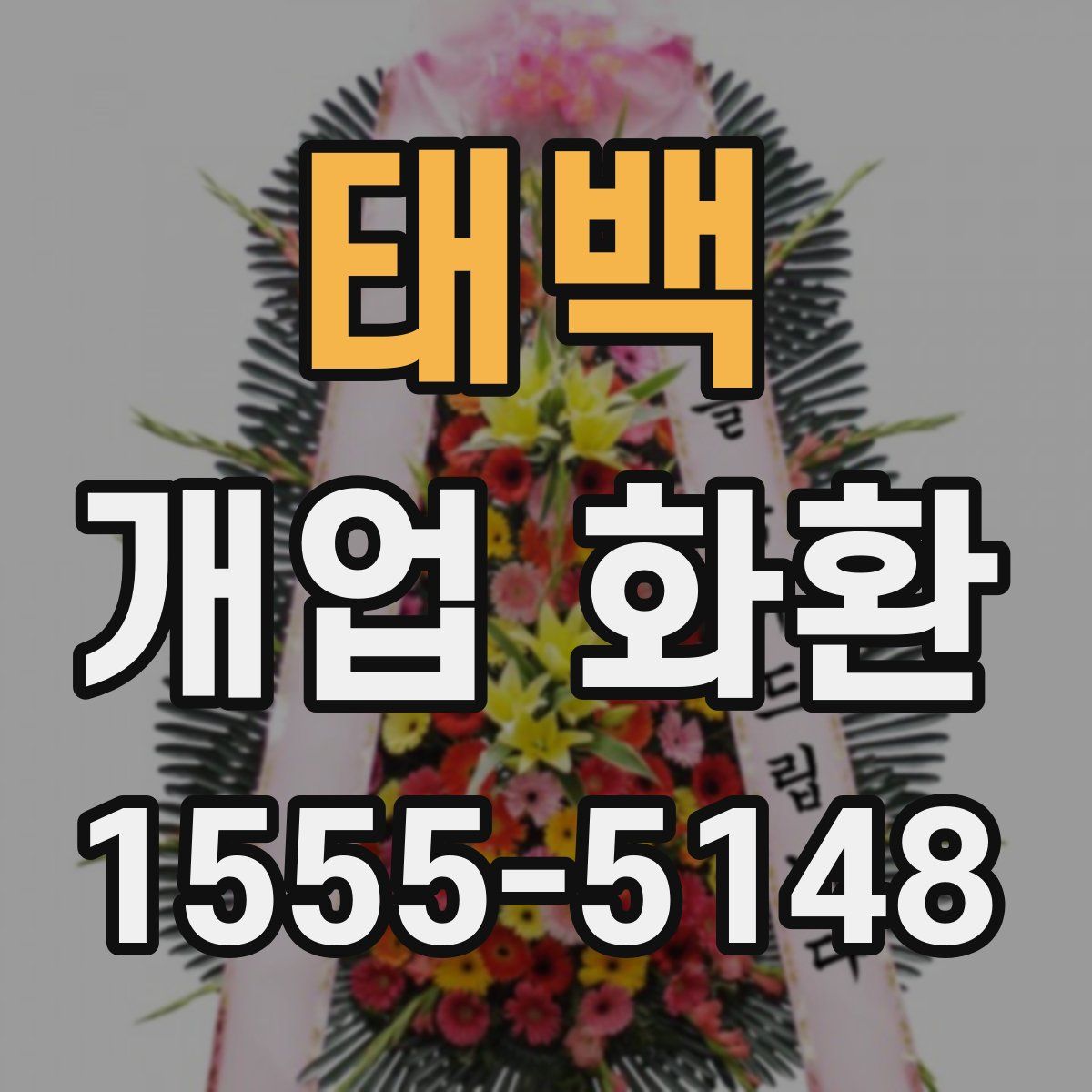 태백 개업 화환