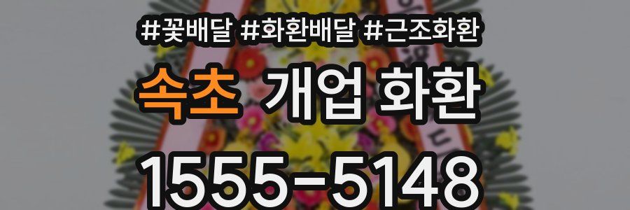 속초 개업 화환