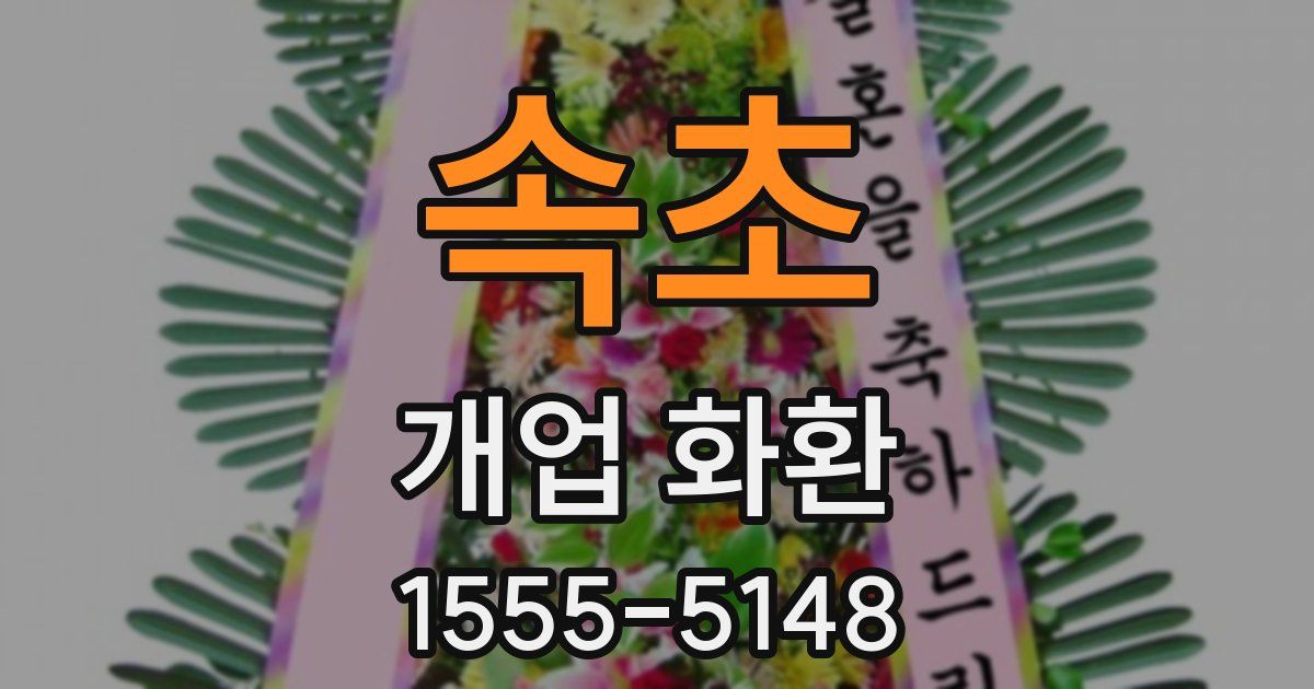 속초 개업 화환