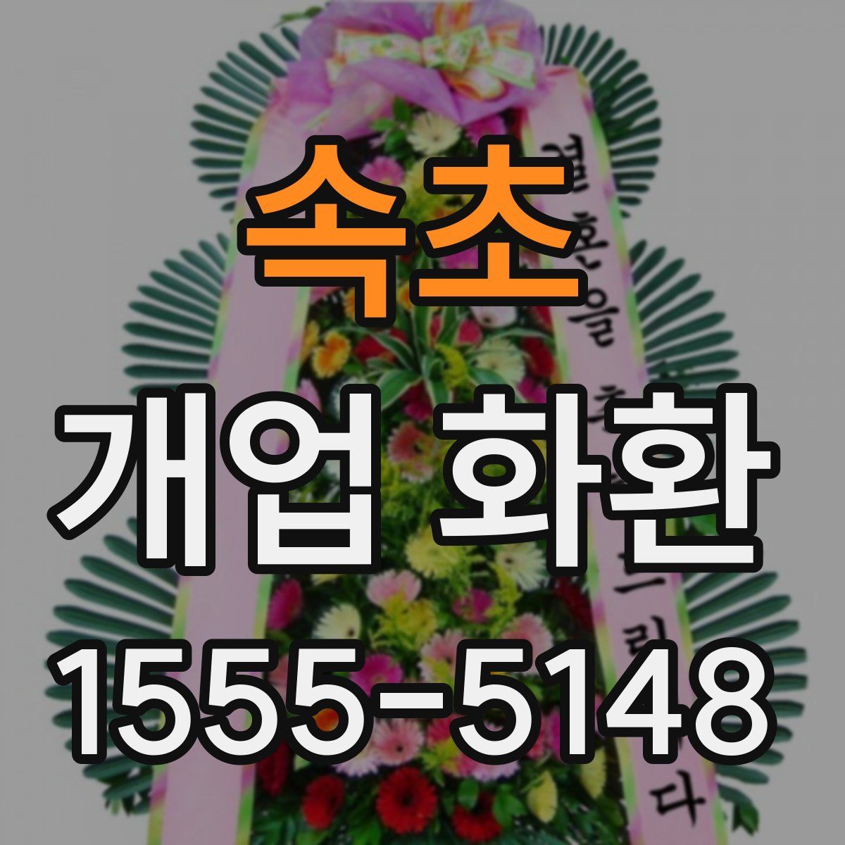 속초 개업 화환