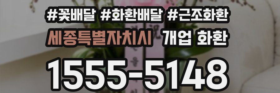 세종특별자치시 개업 화환