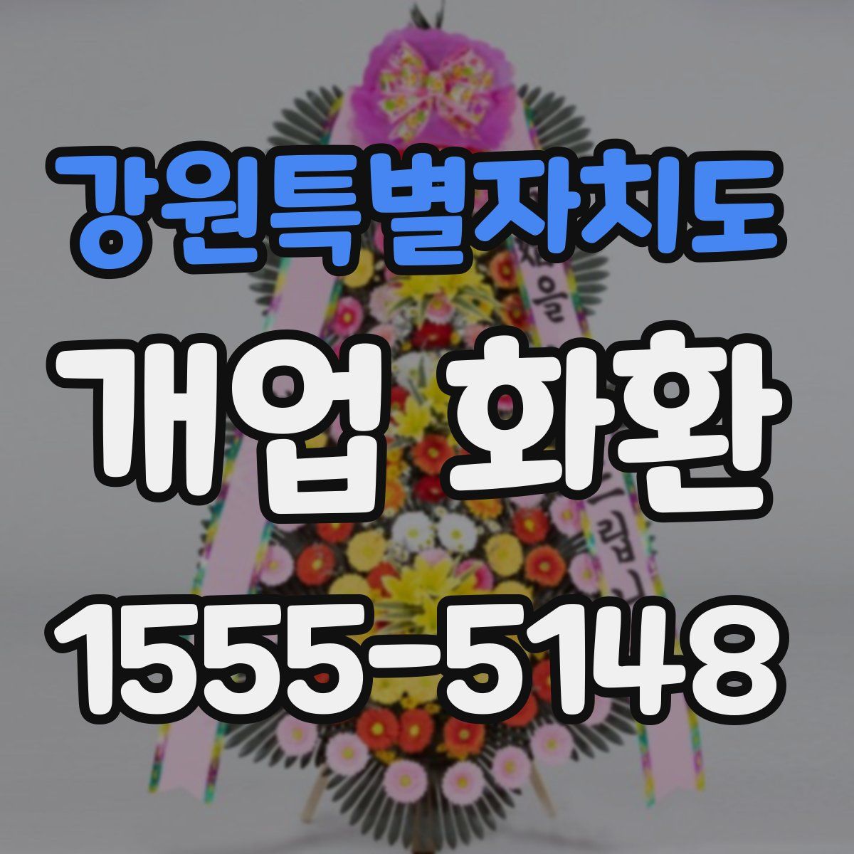 강원특별자치도 개업 화환