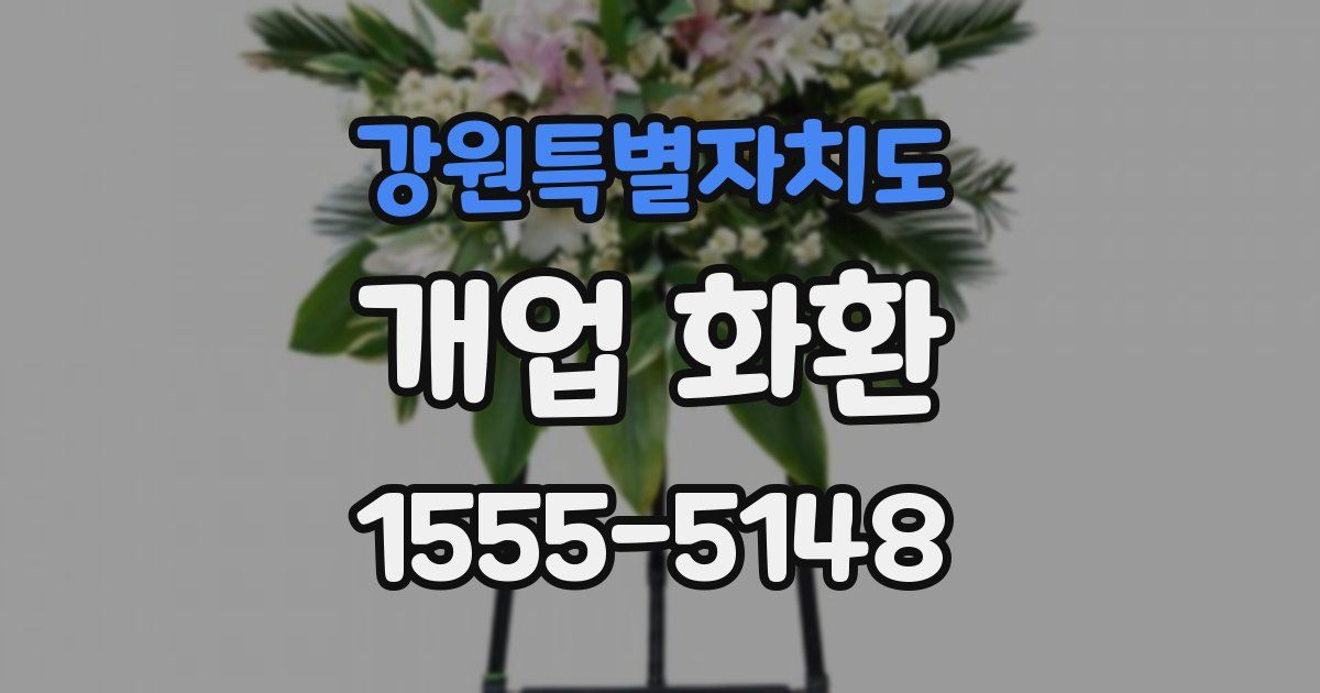 강원특별자치도 개업 화환