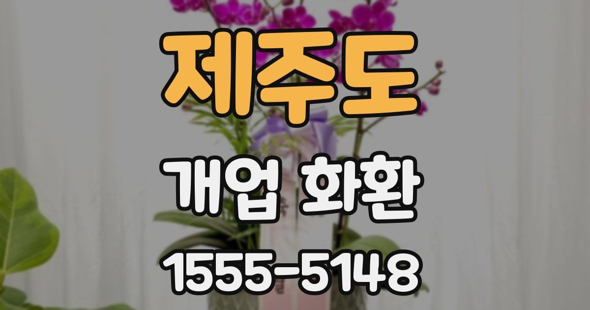 제주도 개업 화환