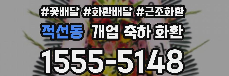 적선동 개업 축하 화환
