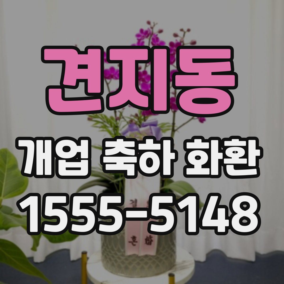 견지동 개업 축하 화환