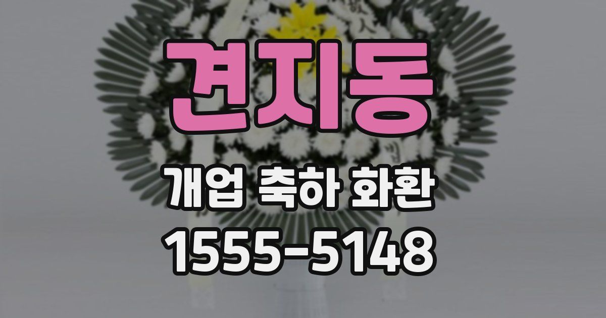 견지동 개업 축하 화환