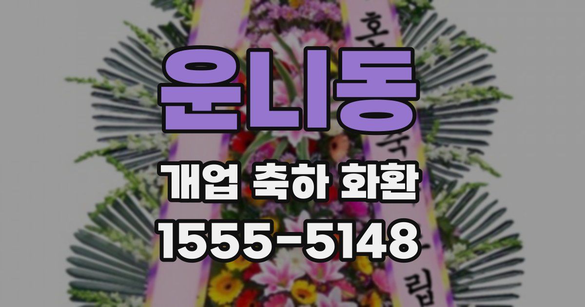 운니동 개업 축하 화환