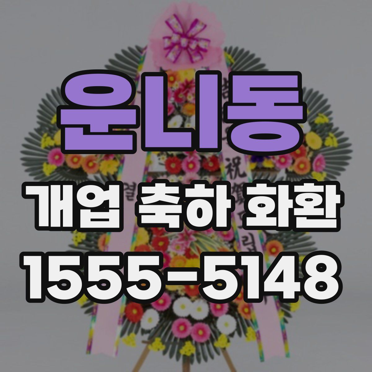운니동 개업 축하 화환