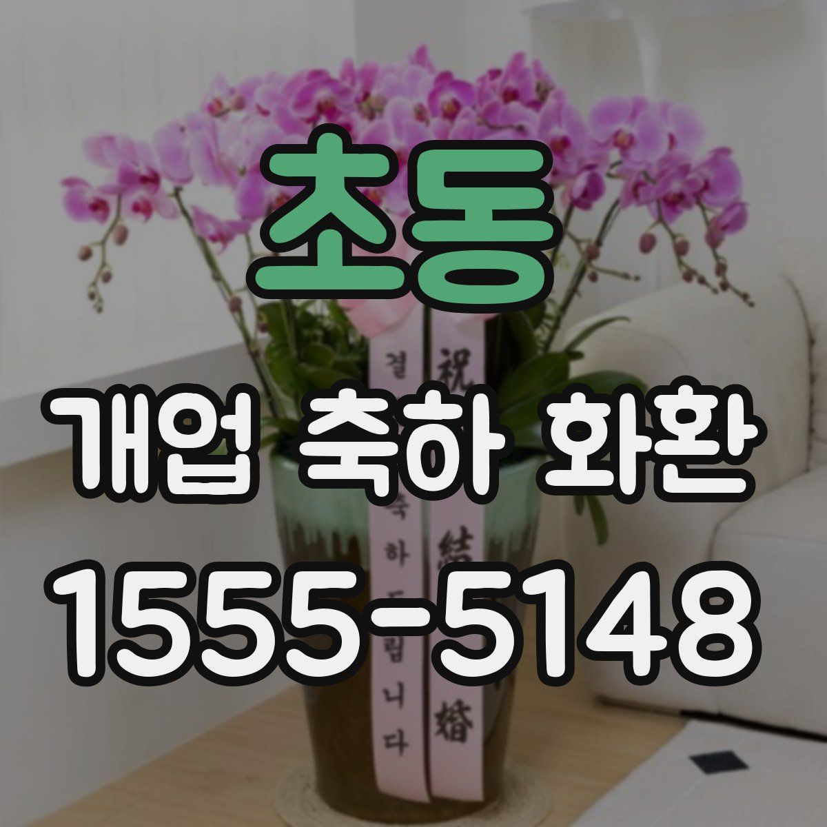 초동 개업 축하 화환