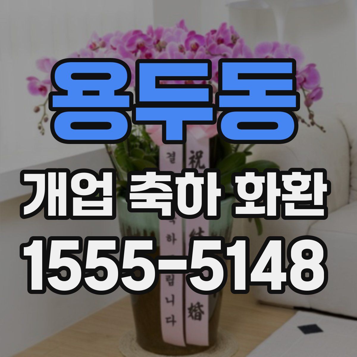 용두동 개업 축하 화환