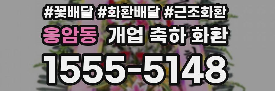응암동 개업 축하 화환
