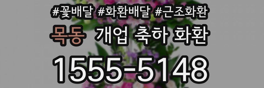 목동 개업 축하 화환