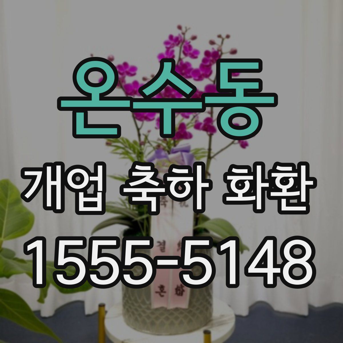 온수동 개업 축하 화환