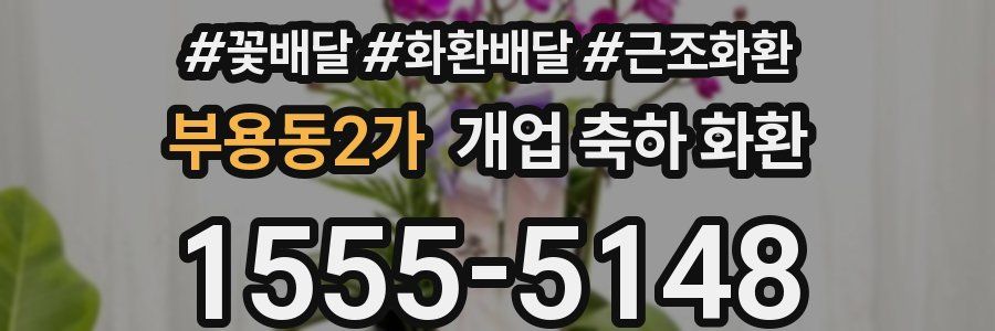 부용동2가 개업 축하 화환