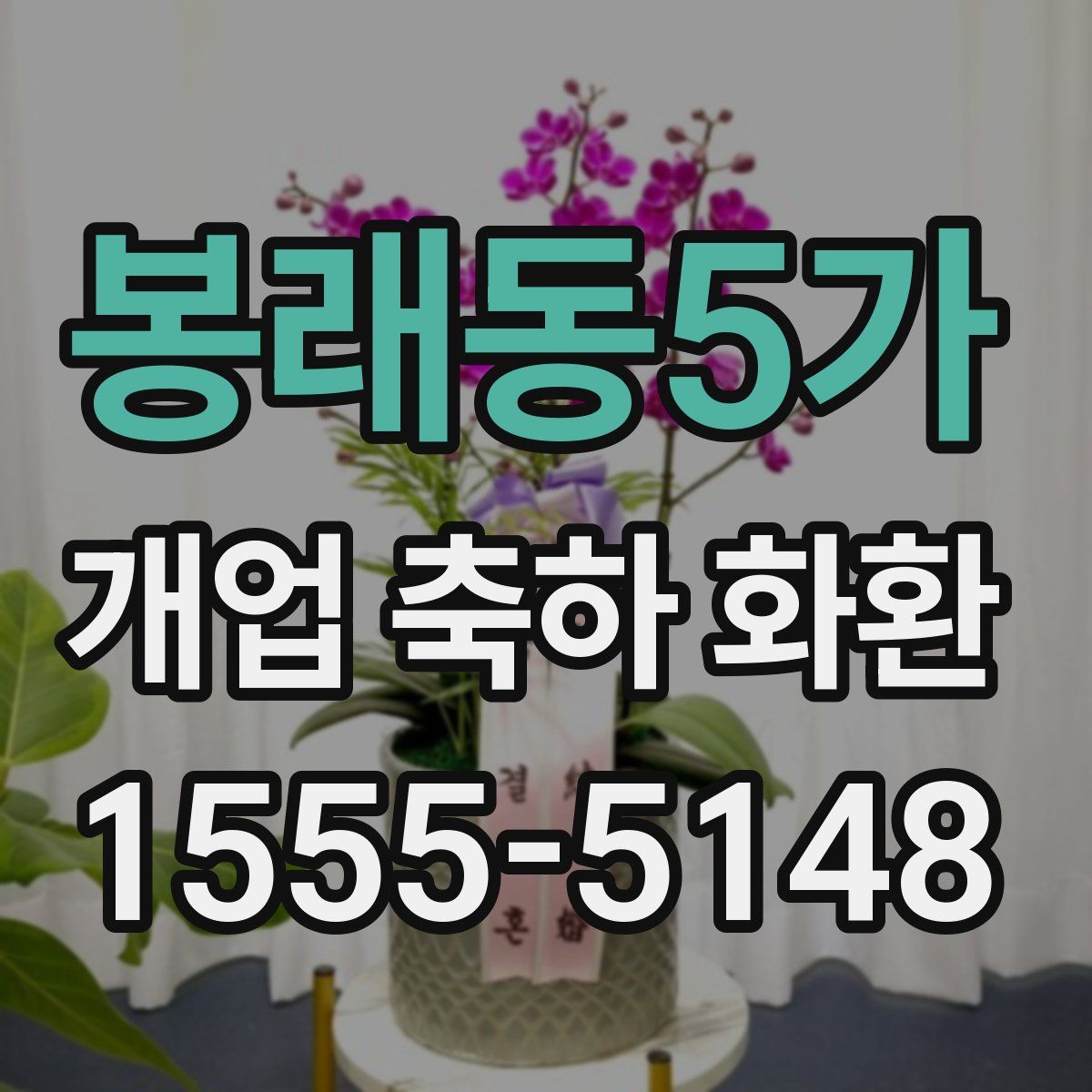봉래동5가 개업 축하 화환