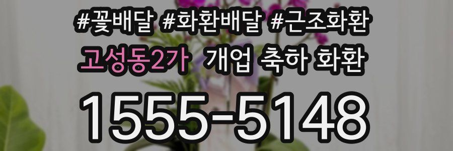고성동2가 개업 축하 화환