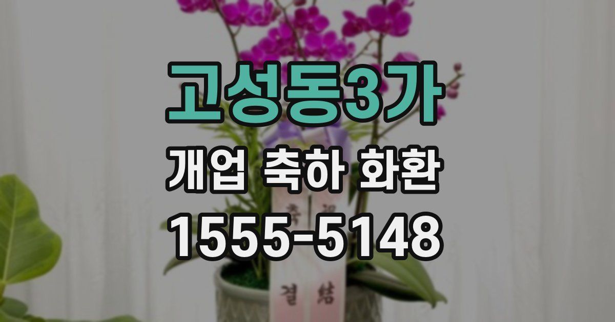 고성동3가 개업 축하 화환