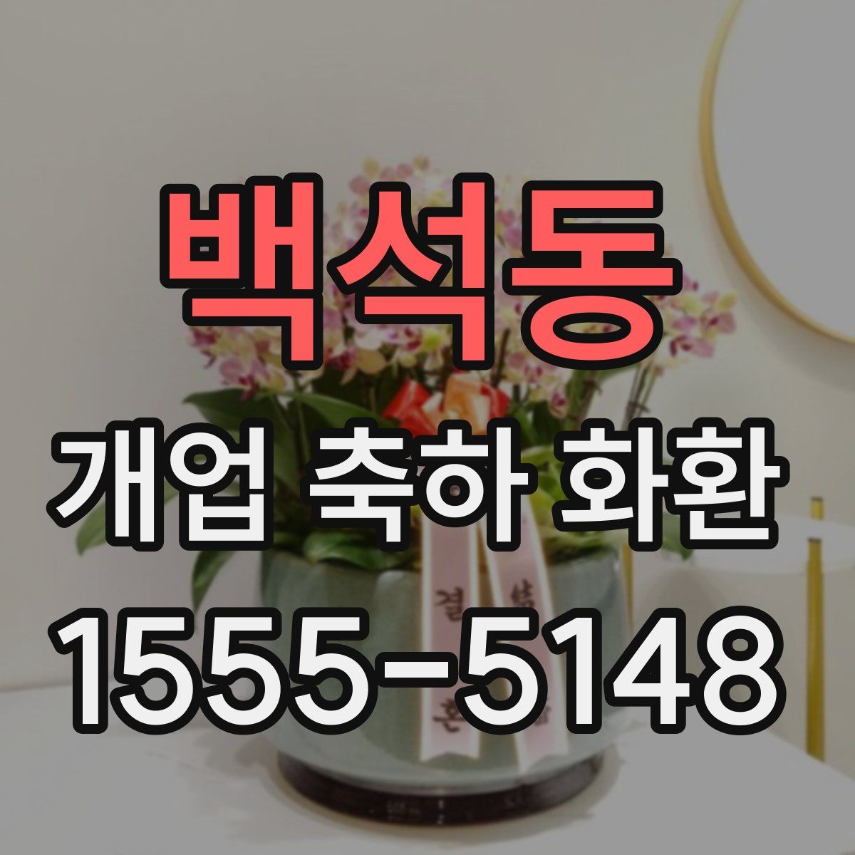 백석동 개업 축하 화환
