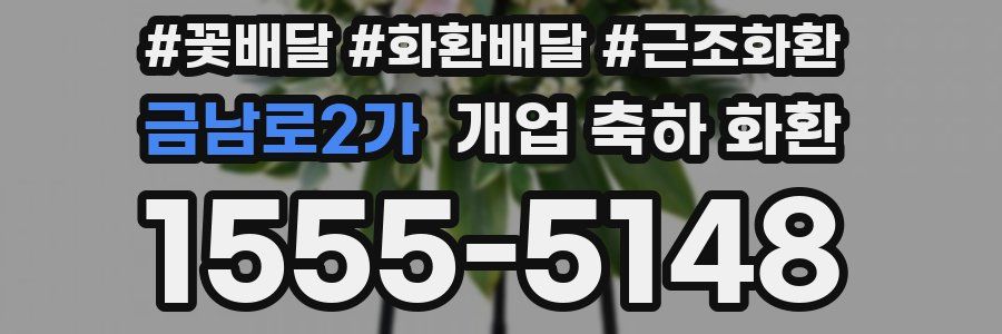 금남로2가 개업 축하 화환