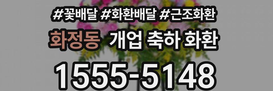 화정동 개업 축하 화환