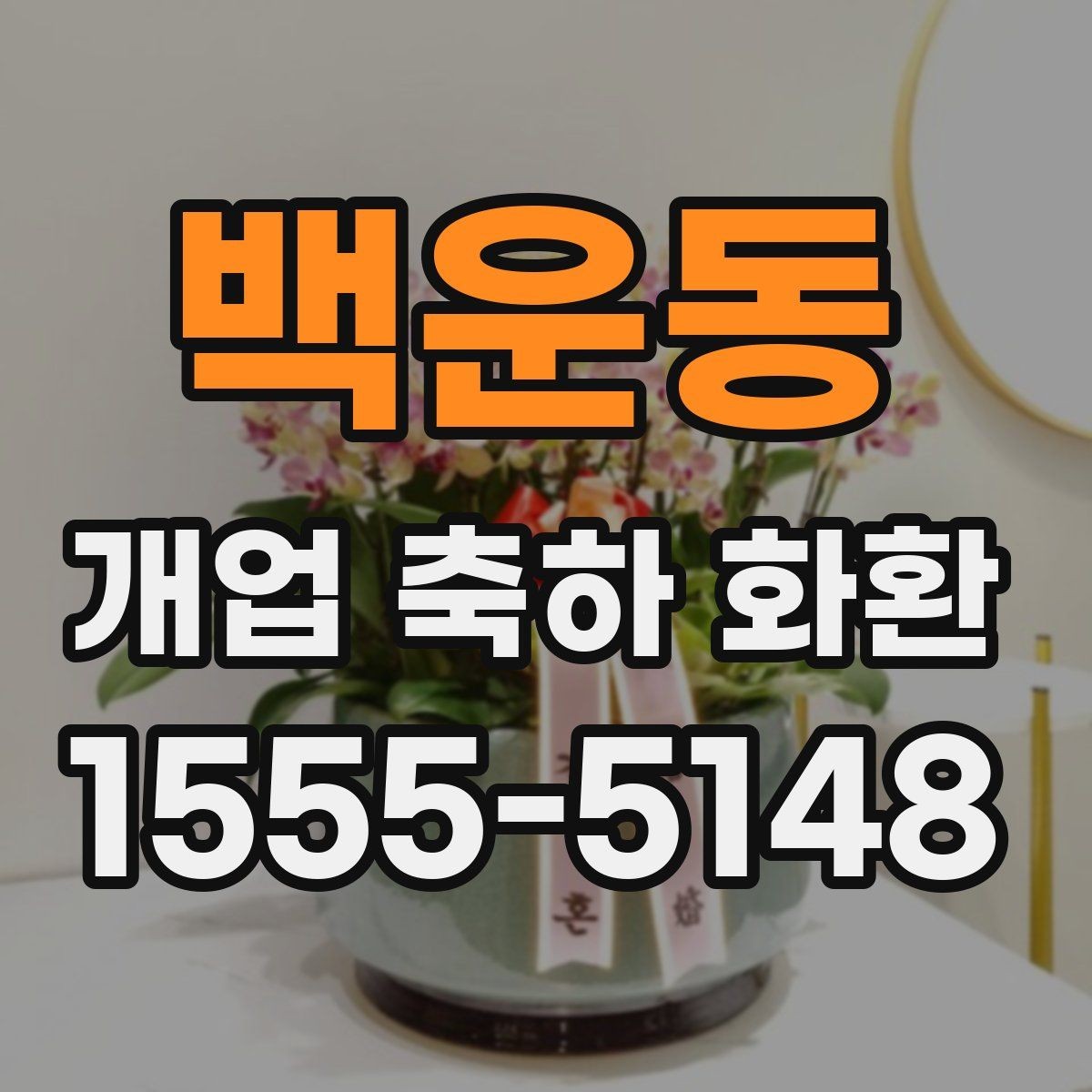 백운동 개업 축하 화환 개업식 현장 배치 팁