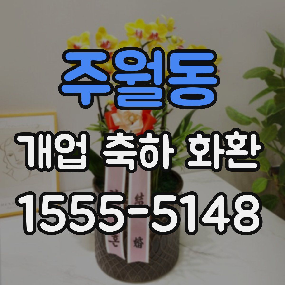 주월동 개업 축하 화환