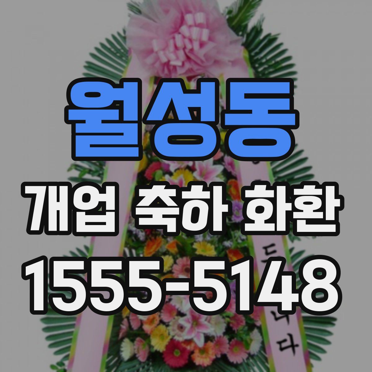 월성동 개업 축하 화환