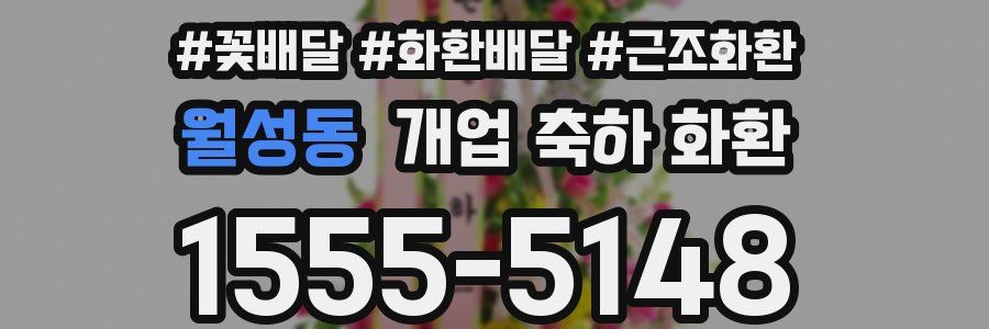 월성동 개업 축하 화환