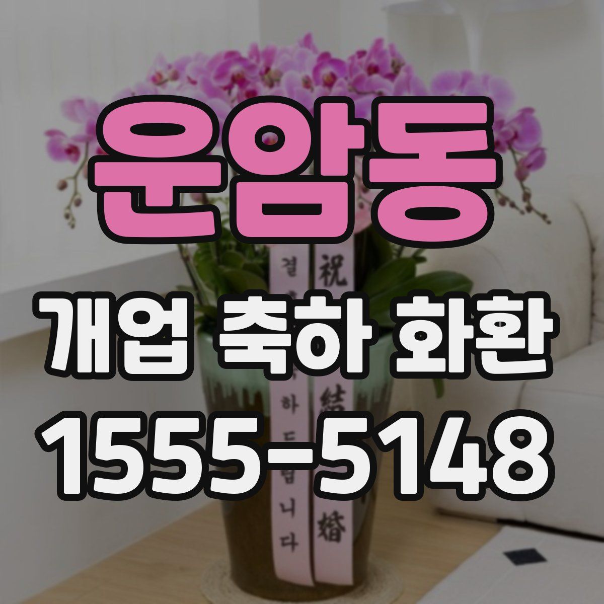 운암동 개업 축하 화환