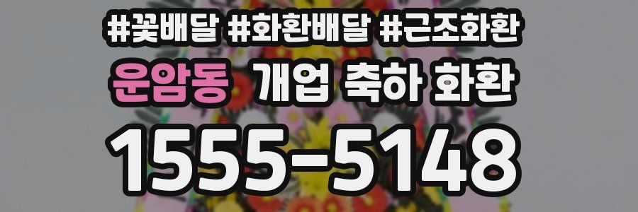 운암동 개업 축하 화환