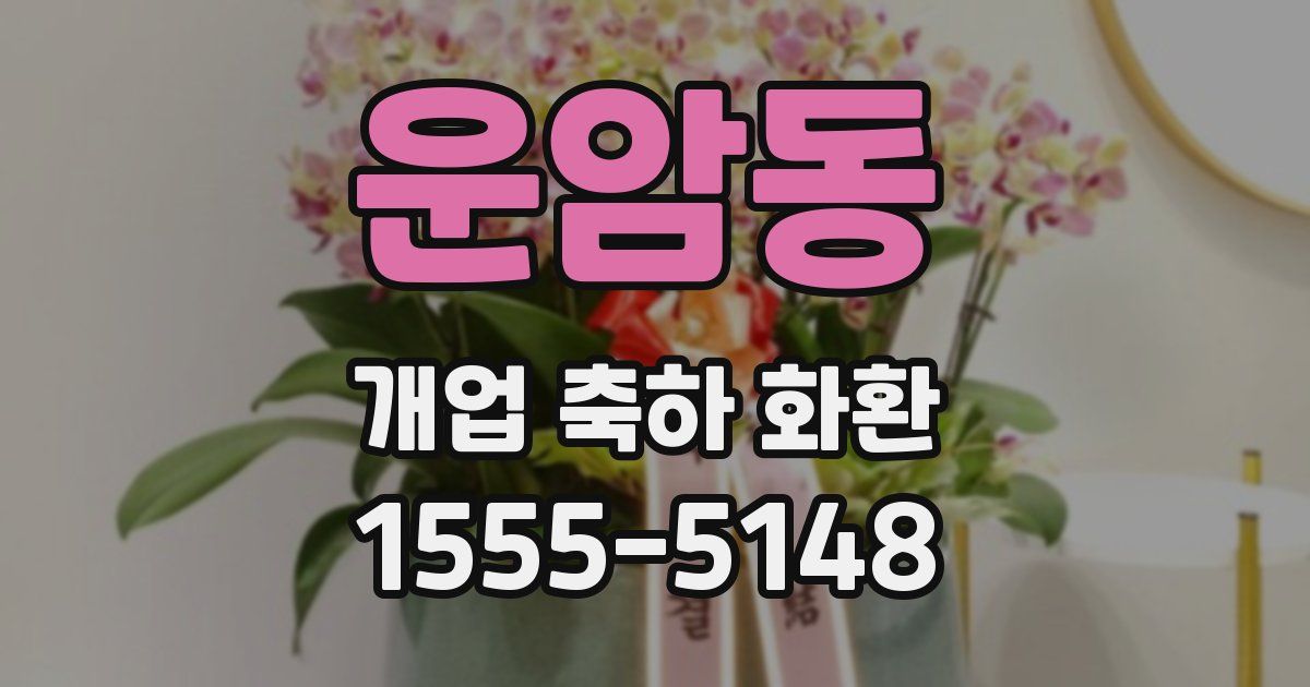 운암동 개업 축하 화환