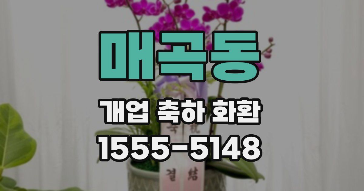 매곡동 개업 축하 화환