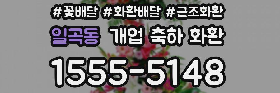 일곡동 개업 축하 화환