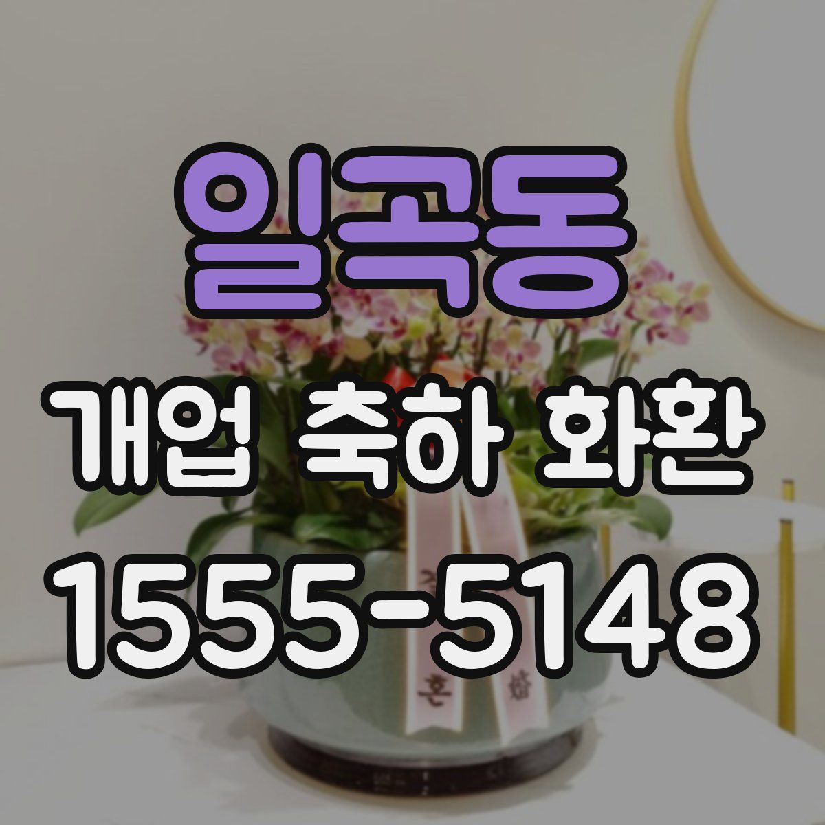 일곡동 개업 축하 화환