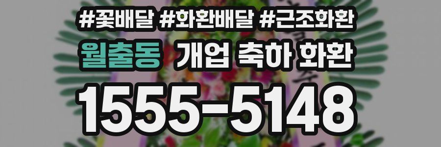월출동 개업 축하 화환