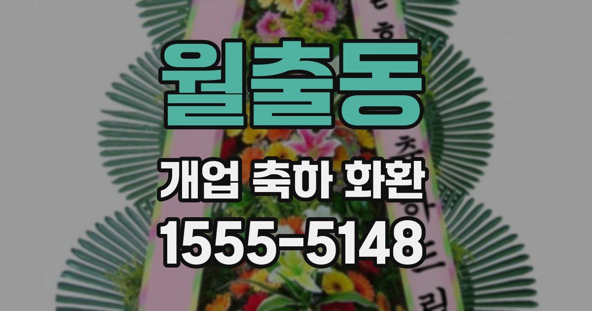월출동 개업 축하 화환