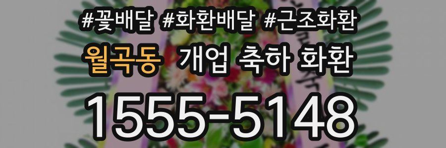 월곡동 개업 축하 화환