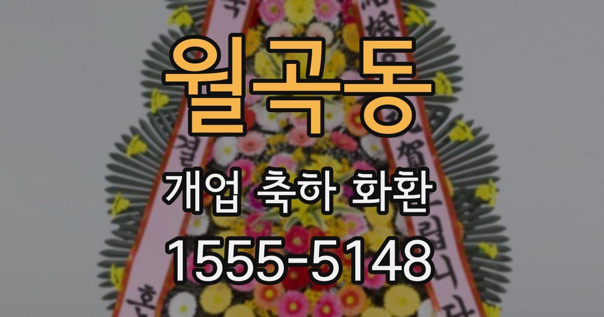 월곡동 개업 축하 화환